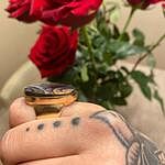 Image of Review by Heather on 16 Jun 2020 number 2