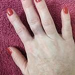 Image of Review by Mommysully on 5 Feb 2020 number 3