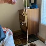 Image of Review by Tcdl on 13 Jun 2019 number 1