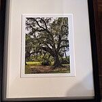 Image of Review by Adrienne R. on 12 Mar 2021 number 1