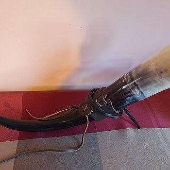 Drinking Horn Set Fantastic! Really pleased with my