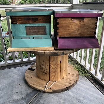 Gypsy Pink Paint Happy Bees in Their Beautiful Jade Milk Paint