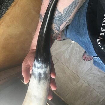 Drinking Horn, Large A 100% satisfied customer!