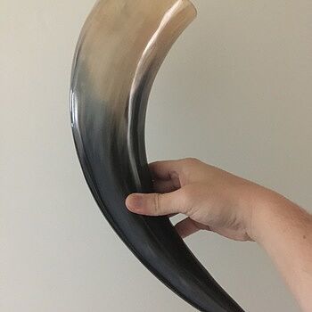 Drinking Horn, XL Raise your horns!