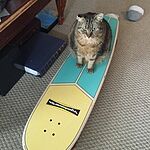 Image of Review by Sara J. on 8 May 2016 number 1