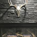 Image of Review by Marshman on 25 Feb 2021 number 2