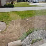 Image of Review by Jason C. on 24 Apr 2020 number 1
