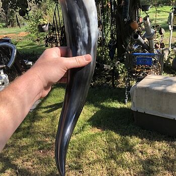 Drinking Horn, Large Large drinking