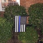 Image of Review by Terri C. on 9 Jul 2016 number 1