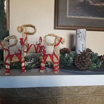 Yule Goat Set Very pleased, looks nice in