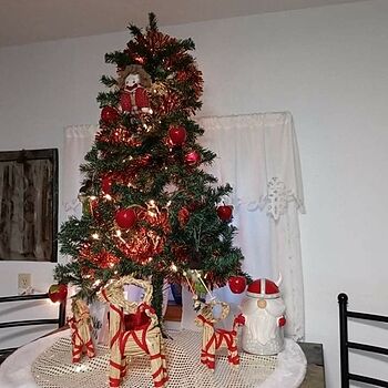 Yule Goat Set Great gifts. Thanks for fast