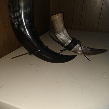 Drinking Horn Set I absolutely love them both,
