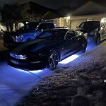 Image of Review by Gary M. on  1 Feb 2022 number 2