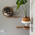 Image of Review by Martha M. on 3 Feb 2022 number 1