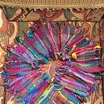 Image of Review by Donna B. on 3 Jan 2017 number 2