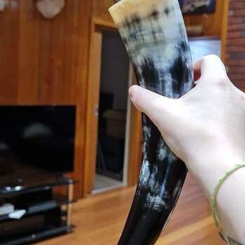 Drinking Horn Set Exceeded expectations.