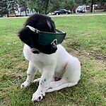 Image of Review by Kody H. on 5 Apr 2022 number 2