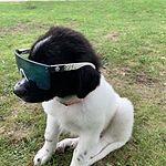 Image of Review by Kody H. on 5 Apr 2022 number 1