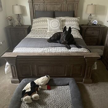 Wimberly 2 Door Nightstand I love the comfort and