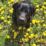 Image of Review by Barry F. on 28 Apr 2022 number 1
