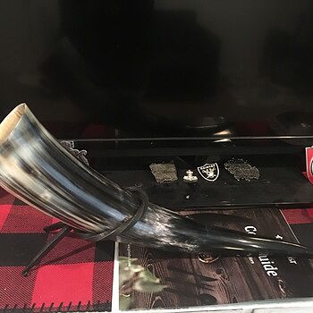 Drinking Horn Set Raise your horn!