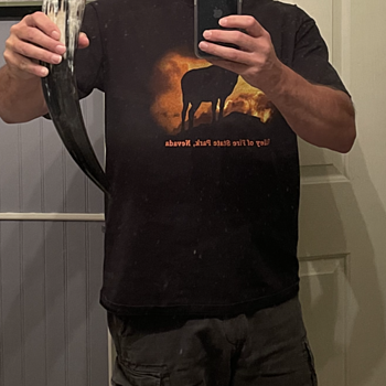 Drinking Horn, Large Drinking Horn