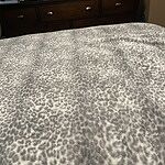 Image of Review by Patricia J. on 30 Mar 2022 number 1