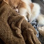 Image of Review by Tiffany B. on 17 Mar 2022 number 1