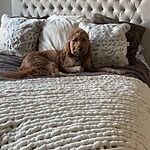 Image of Review by Alison P. on 18 Jan 2022 number 1