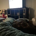 Image of Review by Caroline W. on 17 Jan 2022 number 1