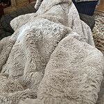 Image of Review by Laura H. on 26 Dec 2021 number 1