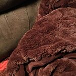 Image of Review by Amy B. on 19 Feb 2021 number 1