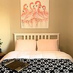 Image of Review by Lesley C. on 18 Nov 2020 number 1