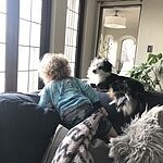 Image of Review by Kristin M. on 18 Nov 2020 number 3