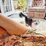 Image of Review by chris w. on 17 Jul 2022 number 1