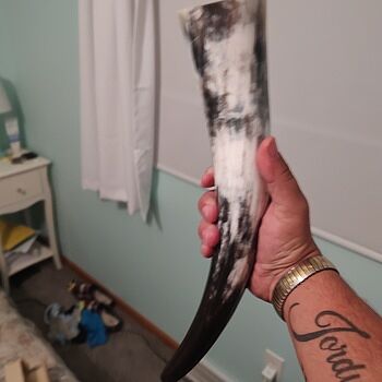 Drinking Horn, Large I love the color of