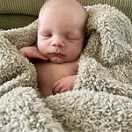 Image of Review by Carleigh T. on 4 Sep 2022 number 5