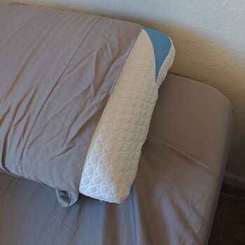 Bear Pillow Great passive cooking