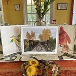 Image of Review by Susan M. on 15 Nov 2022 number 1