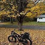 Image of Review by Fon T. on 18 Nov 2022 number 1