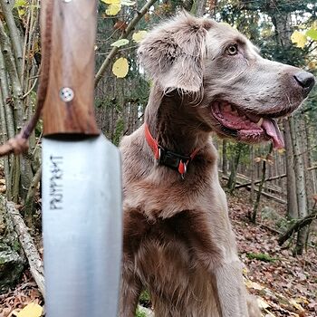 Hunting Knife, Viking I Perfect and well made!