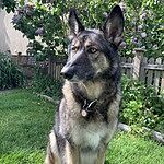 Image of Review by Colleen P. on 29 Nov 2022 number 1