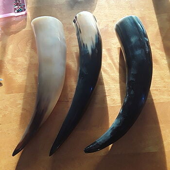 Drinking Horn, Small These drinking horns are beautiful