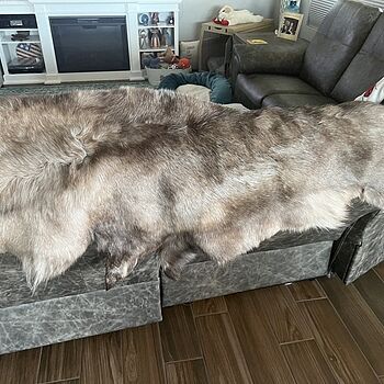 Scandinavian Reindeer Skin, Outdoor The skin was so soft
