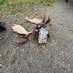 Image of Review by Mike W. on 19 Apr 2023 number 1
