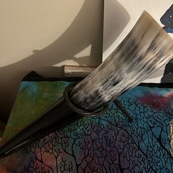 Drinking Horn, Large Horn