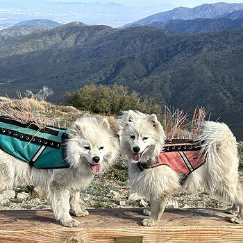 SpikeVest Great protection and peace of mind