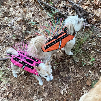 SpikeVest Mom Maisel and daughter Lucy in their vests are So happy