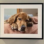 Image of Review by chelsea h. on 8 Jul 2023 number 1