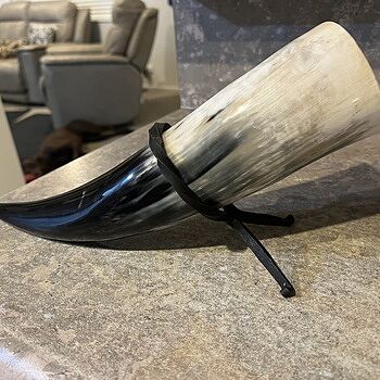 Drinking Horn Set Will whip out at every party